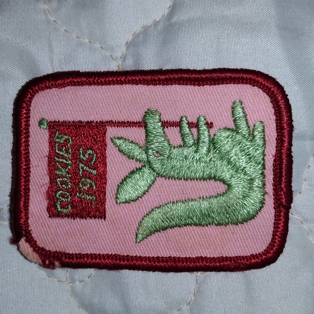 Vintage Girl Scout Cookie Patch 1975